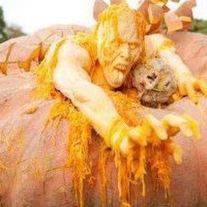 Meet your Posher, Terry